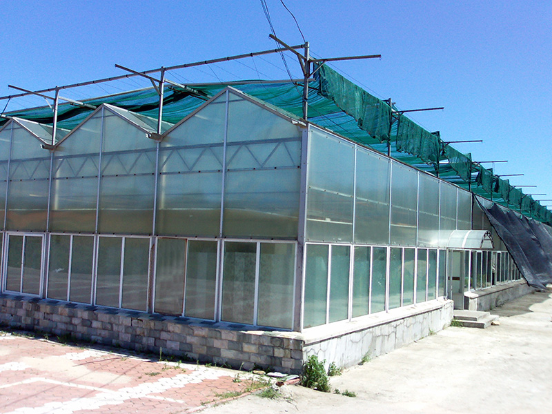 仙桃市智能温室植物工厂 - 哪里好