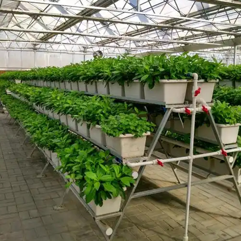 仙桃市植物工厂气雾培 - 一站式服务