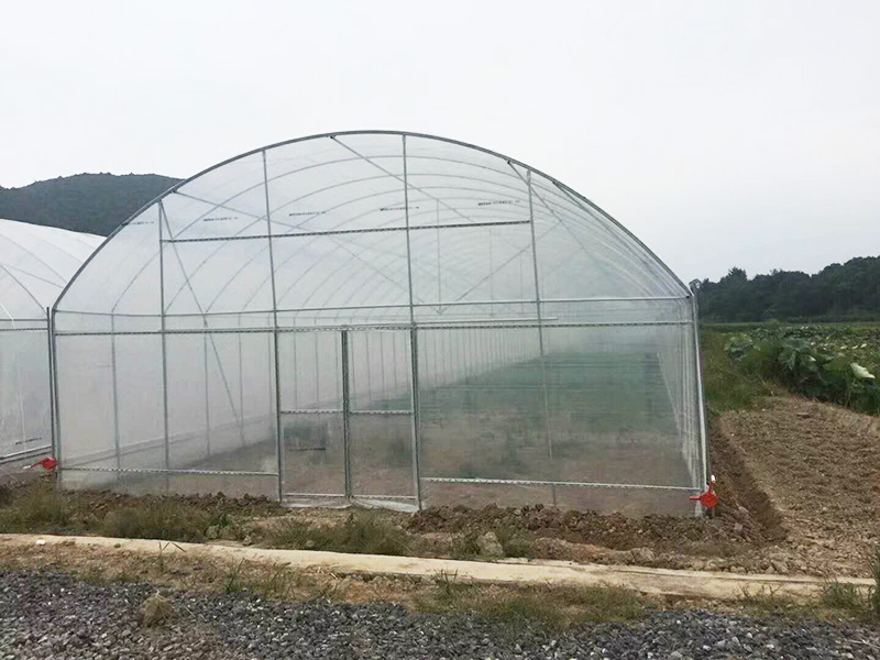仙桃市薄膜大棚苗床 - 推荐